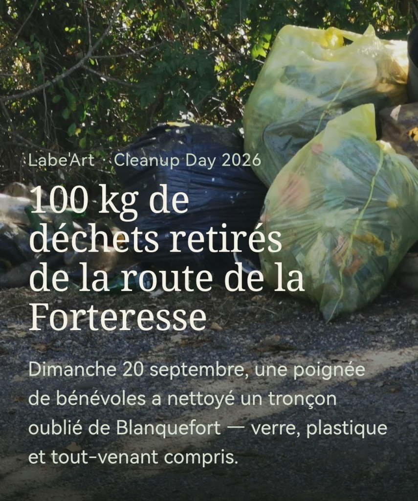 Des sacs poubelles remplis de déchets collectés lors d'une journée de nettoyage à Blanquefort.